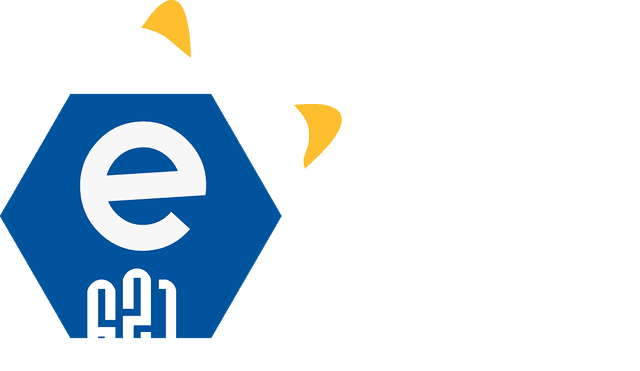 e621dle logo